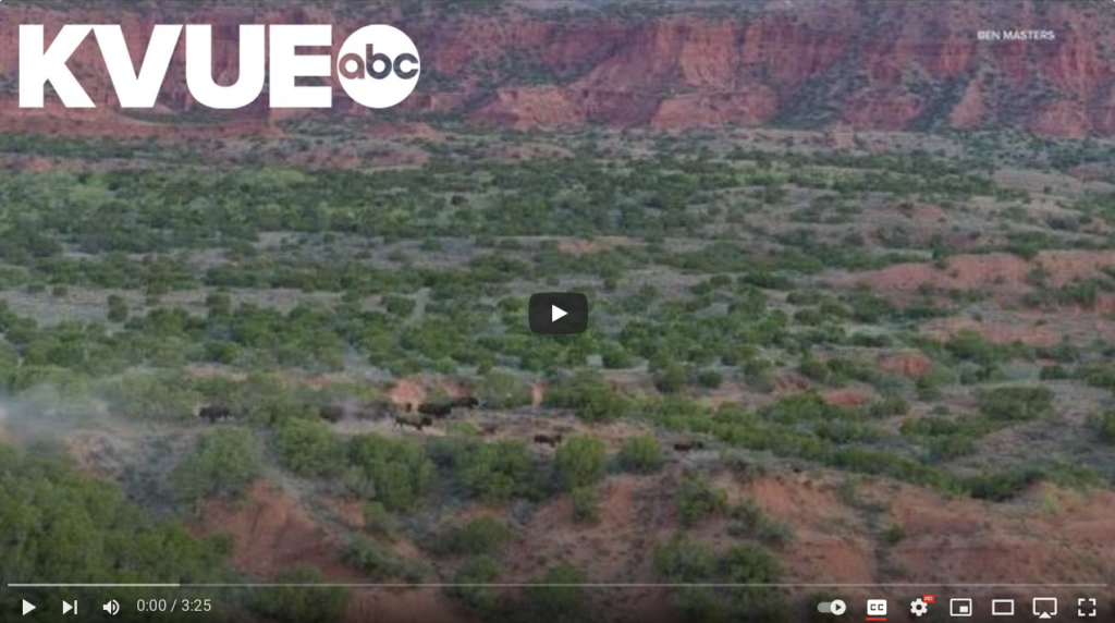 Texas voters to decide on Prop 14 to create $1B fund for new parks