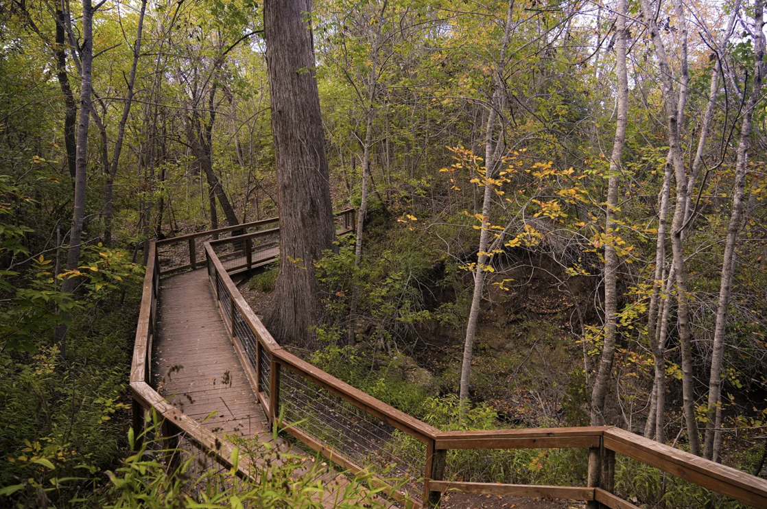 Austin American-Statesman: Opinion: We can launch a golden era for our state parks